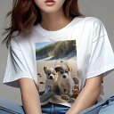 ジャックラッセルテリア Tシャツ レディース 犬ファン 半袖 春夏 犬柄 プリント カジュアル かわいい 人間用 個性派 ここだけのデザイン 面白 砂浜 ジャッ...