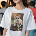 コーギー Tシャツ レディース 犬ファン 半袖 春夏 犬柄 プリント カジュアル かわいい 人間用 個性派 ここだけのデザイン 面白 土 コーギー 苗