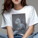 マルチーズ Tシャツ レディース 犬ファン 半袖 春夏 犬柄 プリント カジュアル かわいい 人間用 個性派 ここだけのデザイン 面白 レインコート マルチーズ...