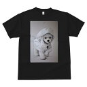マルチーズ Tシャツ メンズ キッズ 犬ファン 半袖 春夏 犬柄 プリント カジュアル かわいい 人間用 個性派 ここだけのデザイン 面白 レインコート マルチ...