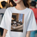 シーズー Tシャツ レディース 犬ファン 半袖 春夏 犬柄 プリント カジュアル かわいい 人間用 個性派 ここだけのデザイン 面白 暖炉 シーズー 冬 窓 セ...