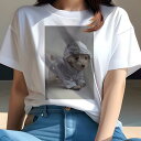 マルチーズ Tシャツ レディース 犬ファン 半袖 春夏 犬柄 プリント カジュアル かわいい 人間用 個性派 ここだけのデザイン 面白 レインコート マルチーズ