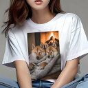 柴犬 Tシャツ レディース 犬ファン 半袖 春夏 犬柄 プリント カジュアル かわいい 人間用 個性派 ここだけのデザイン 面白 暖炉 柴犬 毛布 暖かい 冬