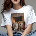 柴犬 Tシャツ レディース 犬ファン 半袖 春夏 犬柄 プリント カジュアル かわいい 人間用 個性派 ここだけのデザイン 面白 暖炉 柴犬 ブランケット 冬 暖かい