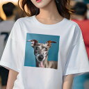 イタリアングレーハウンド Tシャツ レディース 犬ファン 半袖 春夏 犬柄 プリント カジュアル かわいい 人間用 個性派 ここだけのデザイン 面白 イタリアン...