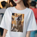 柴犬 Tシャツ レディース 犬ファン 半袖 春夏 犬柄 プリント カジュアル かわいい 人間用 個性派 ここだけのデザイン 面白 炎 柴犬 爆発