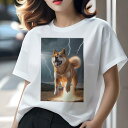 柴犬 Tシャツ レディース 犬ファン 半袖 春夏 犬柄 プリント カジュアル かわいい 人間用 個性派 ここだけのデザイン 面白 雷 柴犬 稲妻 空 嵐