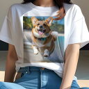 コーギー Tシャツ レディース 犬ファン 半袖 春夏 犬柄 プリント カジュアル かわいい 人間用 個性派 ここだけのデザイン 面白 ビーチ コーギー 海 夏 休暇