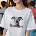 イタリアングレーハウンド Tシャツ レディース 犬ファン 半袖 春夏 犬柄 プリント カジュアル かわいい 人間用 個性派 ここだけのデザイン 面白 イタリアン...