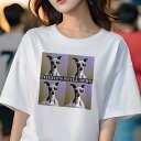 イタリアングレーハウンド Tシャツ レディース 犬ファン 半袖 春夏 犬柄 プリント カジュアル かわいい 人間用 個性派 ここだけのデザイン 面白 サングラス イタリアングレーハウンド