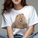 チャウチャウ Tシャツ レディース 犬ファン 半袖 春夏 犬柄 プリント カジュアル かわいい 人間用 個性派 ここだけのデザイン 面白 ふわふわ チャウチャウ...