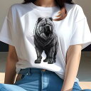 チャウチャウ Tシャツ レディース 犬ファン 半袖 春夏 犬柄 プリント カジュアル かわいい 人間用 個性派 ここだけのデザイン 面白 チャウチャウ