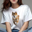 柴犬 Tシャツ レディース 犬ファン 半袖 春夏 犬柄 プリント カジュアル かわいい 人間用 個性派 ここだけのデザイン 面白 柴犬