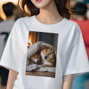 柴犬 Tシャツ レディース 犬ファン 半袖 春夏 犬柄 プリント カジュアル かわいい 人間用 個性派 ここだけのデザイン 面白 暖炉 柴犬 毛布 暖かい 冬