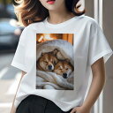 柴犬 Tシャツ レディース 犬ファン 半袖 春夏 犬柄 プリント カジュアル かわいい 人間用 個性派 ここだけのデザイン 面白 毛布 柴犬 暖炉 暖かい 冬