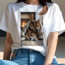 柴犬 Tシャツ レディース 犬ファン 半袖 春夏 犬柄 プリント カジュアル かわいい 人間用 個性派 ここだけのデザイン 面白 暖炉 柴犬 毛布 暖かい 癒し