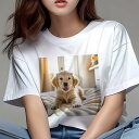 ゴールデンレトリバー Tシャツ レディース 犬ファン 半袖 春夏 犬柄 プリント カジュアル かわいい 人間用 個性派 ここだけのデザイン 面白 ベッド ゴール...