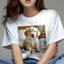 ゴールデンレトリバー Tシャツ レディース 犬ファン 半袖 春夏 犬柄 プリント カジュアル かわいい 人間用 個性派 ここだけのデザイン 面白 子犬 ゴールデ...