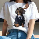 ダックスフンド Tシャツ レディース 犬ファン 半袖 春夏 犬柄 プリント カジュアル かわいい 人間用 個性派 ここだけのデザイン 面白 スーツ ダックスフン...