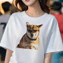 柴犬 Tシャツ レディース 犬ファン 半袖 春夏 犬柄 プリント カジュアル かわいい 人間用 個性派 ここだけのデザイン 面白 サングラス 柴犬 首輪