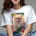 ポメラニアン Tシャツ レディース 犬ファン 半袖 春夏 犬柄 プリント カジュアル かわいい 人間用 個性派 ここだけのデザイン 面白 チューリップ ポメラニアン 花