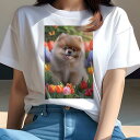 ポメラニアン Tシャツ レディース 犬ファン 半袖 春夏 犬柄 プリント カジュアル かわいい 人間用 個性派 ここだけのデザイン 面白 チューリップ ポメラニアン 花 春 庭