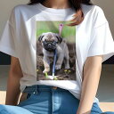 パグ Tシャツ レディース 犬ファン 半袖 春夏 犬柄 プリント カジュアル かわいい 人間用 個性派 ここだけのデザイン 面白 土 パグ 庭 シャベル 花