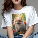 ポメラニアン Tシャツ レディース 犬ファン 半袖 春夏 犬柄 プリント カジュアル かわいい 人間用 個性派 ここだけのデザイン 面白 チューリップ ポメラニアン 春 花 庭