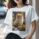 ポメラニアン Tシャツ レディース 犬ファン 半袖 春夏 犬柄 プリント カジュアル かわいい 人間用 個性派 ここだけのデザイン 面白 花 ポメラニアン チューリップ 庭 春