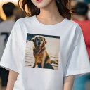 ゴールデンレトリバー Tシャツ レディース 犬ファン 半袖 春夏 犬柄 プリント カジュアル かわいい 人間用 個性派 ここだけのデザイン 面白 背景 ゴールデ...