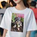 ミニチュアシュナウザー Tシャツ レディース 犬ファン 半袖 春夏 犬柄 プリント カジュアル かわいい 人間用 個性派 ここだけのデザイン 面白 庭 ミニチュ...
