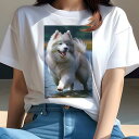 サモエド Tシャツ レディース 犬ファン 半袖 春夏 犬柄 プリント カジュアル かわいい 人間用 個性派 ここだけのデザイン 面白 水辺 サモエド ふわふわ ...