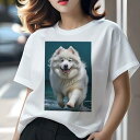 サモエド Tシャツ レディース 犬ファン 半袖 春夏 犬柄 プリント カジュアル かわいい 人間用 個性派 ここだけのデザイン 面白 水しぶき サモエド 笑顔