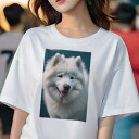 サモエド Tシャツ レディース 犬ファン 半袖 春夏 犬柄 プリント カジュアル かわいい 人間用 個性派 ここだけのデザイン 面白 サモエド