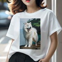 サモエド Tシャツ レディース 犬ファン 半袖 春夏 犬柄 プリント カジュアル かわいい 人間用 個性派 ここだけのデザイン 面白 海 サモエド 木