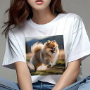 ポメラニアン Tシャツ レディース 犬ファン 半袖 春夏 犬柄 プリント カジュアル かわいい 人間用 個性派 ここだけのデザイン 面白 背景 ポメラニアン 草...
