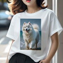 サモエド Tシャツ レディース 犬ファン 半袖 春夏 犬柄 プリント カジュアル かわいい 人間用 個性派 ここだけのデザイン 面白 海 サモエド 砂浜 波