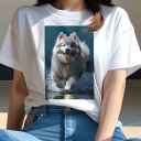 サモエド Tシャツ レディース 犬ファン 半袖 春夏 犬柄 プリント カジュアル かわいい 人間用 個性派 ここだけのデザイン 面白 水しぶき サモエド