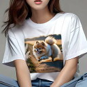 ポメラニアン Tシャツ レディース 犬ファン 半袖 春夏 犬柄 プリント カジュアル かわいい 人間用 個性派 ここだけのデザイン 面白 道 ポメラニアン 草原...