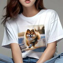 ポメラニアン Tシャツ レディース 犬ファン 半袖 春夏 犬柄 プリント カジュアル かわいい 人間用 個性派 ここだけのデザイン 面白 雪 ポメラニアン 冬 ...