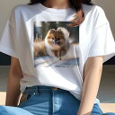 ポメラニアン Tシャツ レディース 犬ファン 半袖 春夏 犬柄 プリント カジュアル かわいい 人間用 個性派 ここだけのデザイン 面白 雪 ポメラニアン 冬 ...