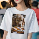 ゴールデンレトリバー Tシャツ レディース 犬ファン 半袖 春夏 犬柄 プリント カジュアル かわいい 人間用 個性派 ここだけのデザイン 面白 パン ゴールデ...