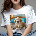 ゴールデンレトリバー Tシャツ レディース 犬ファン 半袖 春夏 犬柄 プリント カジュアル かわいい 人間用 個性派 ここだけのデザイン 面白 ベッド ゴール...