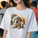 ゴールデンレトリバー Tシャツ レディース 犬ファン 半袖 春夏 犬柄 プリント カジュアル かわいい 人間用 個性派 ここだけのデザイン 面白 ゴールデンレト...
