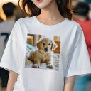 ゴールデンレトリバー Tシャツ レディース 犬ファン 半袖 春夏 犬柄 プリント カジュアル かわいい 人間用 個性派 ここだけのデザイン 面白 子犬 ゴールデ...