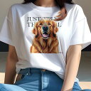 ゴールデンレトリバー Tシャツ レディース 犬ファン 半袖 春夏 犬柄 プリント カジュアル かわいい 人間用 個性派 ここだけのデザイン 面白 ゴールデンレトリバー
