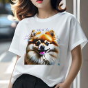 ポメラニアン Tシャツ レディース 犬ファン 半袖 春夏 犬柄 プリント カジュアル かわいい 人間用 個性派 ここだけのデザイン 面白 ポメラニアン