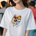 ポメラニアン Tシャツ レディース 犬ファン 半袖 春夏 犬柄 プリント カジュアル かわいい 人間用 個性派 ここだけのデザイン 面白 ポメラニアン