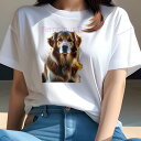 ゴールデンレトリバー Tシャツ レディース 犬ファン 半袖 春夏 犬柄 プリント カジュアル かわいい 人間用 個性派 ここだけのデザイン 面白 ゴールデンレト...