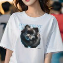ポメラニアン Tシャツ レディース 犬ファン 半袖 春夏 犬柄 プリント カジュアル かわいい 人間用 個性派 ここだけのデザイン 面白 ポメラニアン